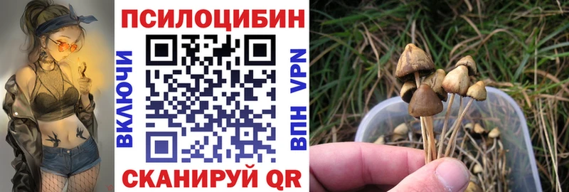 darknet официальный сайт  Красноуфимск  Галлюциногенные грибы Psilocybine cubensis 